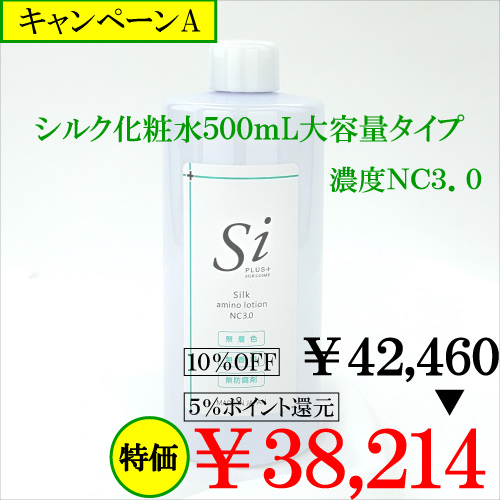 Si�V���N���ϐ��T�O�O����